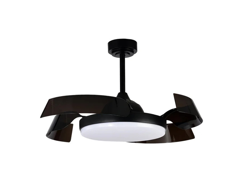 SICAN-NEGRO-2
